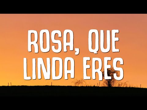 ROSA, QUE LINDA ERES