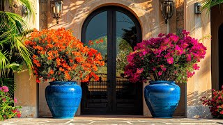 Large Flower Pot Ideas for Your Front Yard: Stunning Curb Appeal!