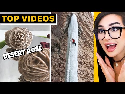 Weird Things You’ll Only See Once in a Lifetime! | SSSniperWolf