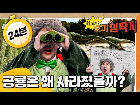 🦖공룡은 왜 사라졌을까?｜🐢거북은 어떻게 머리를 집어넣어요?｜💡최고다! 호기심 딱지💡｜[EBS놀이터]