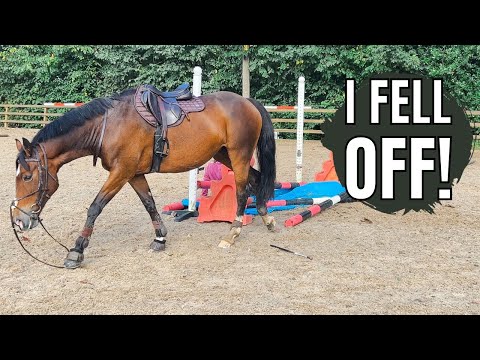 I FELL OFF| Full Lesson VLOG