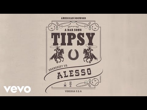 Shaboozey, Alesso - A Bar Song (Tipsy) [Remix] (Official Visualizer)