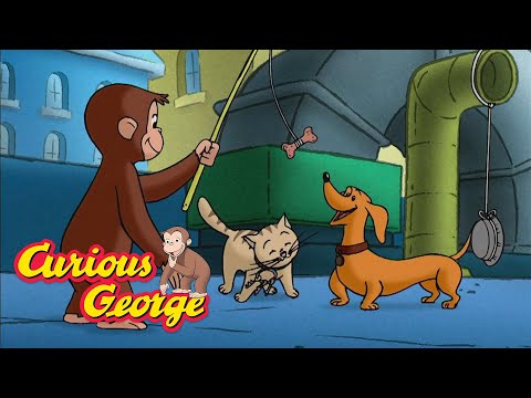 George's Animal Band 🐵 Curious George 🐵 Kids Cartoon 🐵 Kids Movies