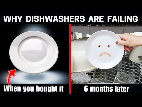 Dirty Secret Why Dishwashers Stop Cleaning after 1 Year