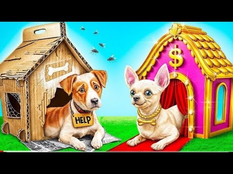 Rich Dog VS Poor Dog by Multi DOSmile