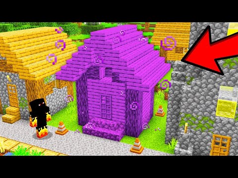 I TURNED HOUSES INTO POTIONS IN MINECRAFT