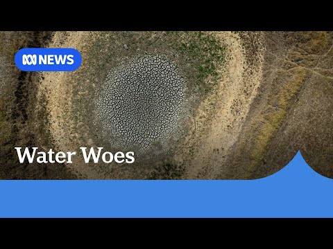 SA farmers call for drought support as dry weather drags on | ABC News