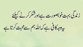 Aqwal e zareen new🌹🌸🌹| Best Urdu quotes| Aqwal e zareen in Urdu|Urdu Islamic quotes