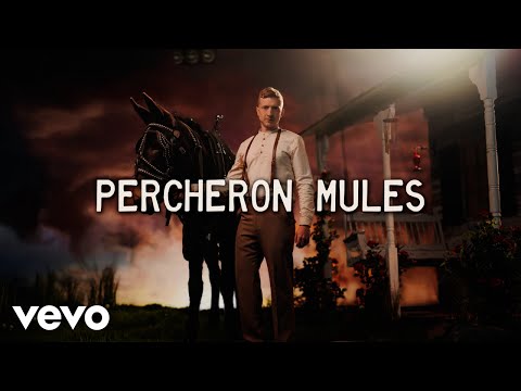 Tyler Childers - Percheron Mules (Lyric Video)