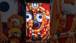 Jay jagannath 🙏🥲 #ytshorts #shortsviral #jayjagannathsong #jagannathbhajan #india#jayjagannathtv