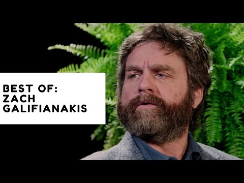 Zach Galifianakis' Funniest Moments Compilation between two ferns