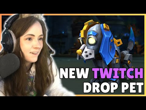 Incoming TWITCH DROP! | Get your TOCK the CLOCKER SPANIEL Pet Next Week [World of Warcraft]