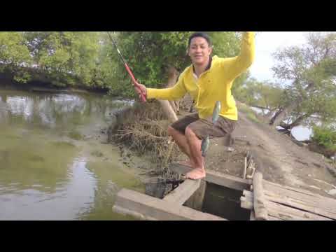 mancing di kali gisik kalanganyar // spot mancing liar #mancingliaranterbaru #mancingliar #fishing