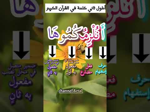 اطول ثاني كلمة في القرآن الكريم🌷مقاطع دينية #إعراب_القرآن_الكريم #إعراب