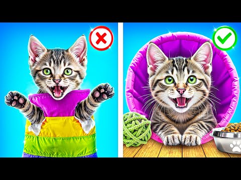 We Saved a Tiny Kitten! Secret Hacks for Pet Owners!