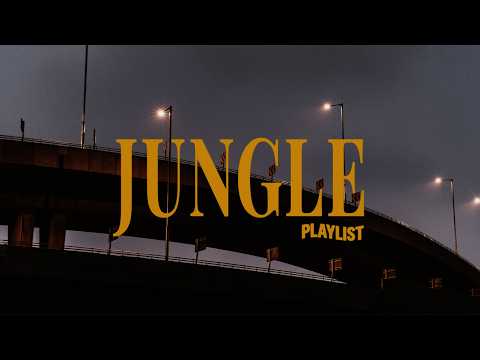 𝒑𝒍𝒂𝒚𝒍𝒊𝒔𝒕 | Jungle's Best Songs for Reading & Work