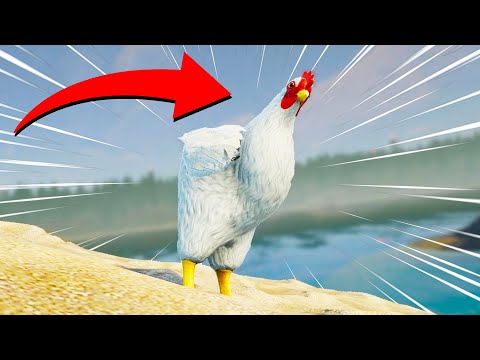 TURBO CHICKEN SIMULATOR.