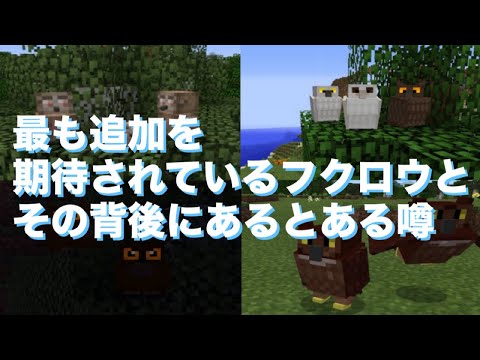 最も追加を期待されているフクロウとその背後にあるとある噂『マイクラ考察』