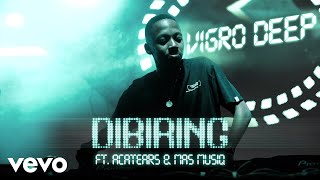 Vigro Deep - Dibiring (Visualizer) ft. Acatears, Mas Musiq