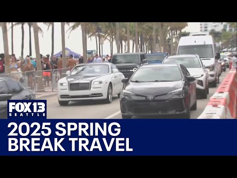 2025 spring break travel rush | FOX 13 Seattle