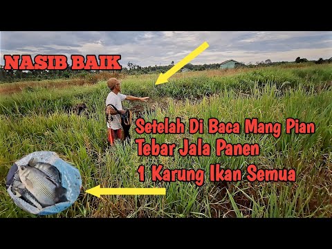 JALA IKAN DAPAT 1 SAK PENUH IKAN SEMUA