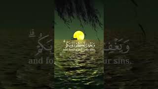 كلام الله يهدي القلوب | آيات قرآنية تريح النفس#آيات_قرآنية #كلام_الله#القرآن_الكريم #نور_القرآن