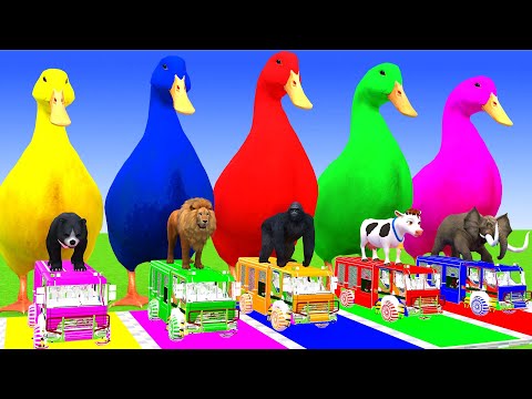 5 Giant Duck Cartoon,Cow,Elephant,Giraffe,Tiger,Lion, Paint Wild Animals Crossing Fountain Animation