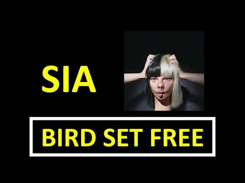 SIA - Bird Set Free Lyrics