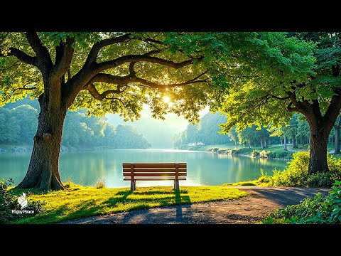 Beautiful Relaxing Music 🍀 Soothing, relaxing music reduces stress and stops thinking too much