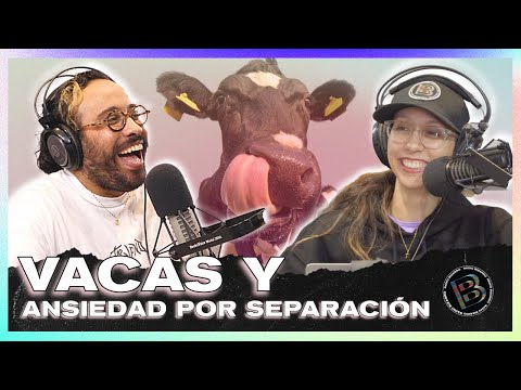 ¿SUFRES DE ANSIEDAD POR SEPARACIÓN? - Radio Bizarro