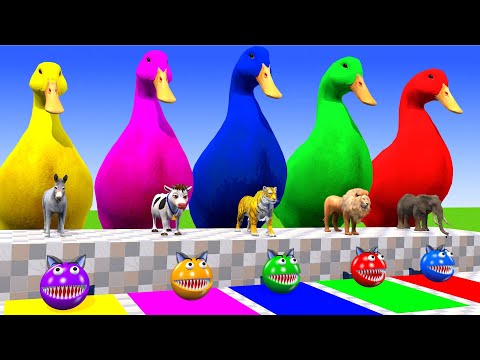 5 Giant Duck Cartoon,Cow,Elephant,Tiger,Lion,Dinosaur,Paint Wild Animals Crossing Fountain Animation