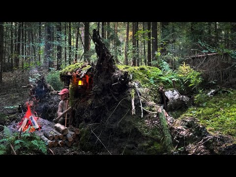 Building a secret shelter near a fallen tree. Bushcraft camp far from civilization. ASMR