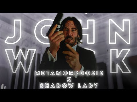 That Nobody Is John Wick - John Wick Edit | Metamorphosis X Shadow Lady (Slowed) #johnwick