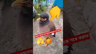 #শবে_বরাতের_নামাজের_নিয়ম #viralvideo #funny #lovebd #bdtiktokofficial #foryou