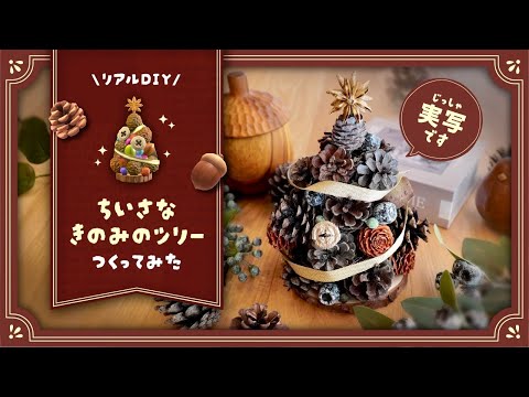 【実写🍁】あつ森のちいさなきのみのツリー作ってみた🎄【DIY】