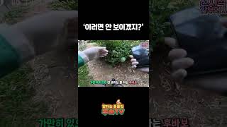 특명! 후이바오를 찾아라!