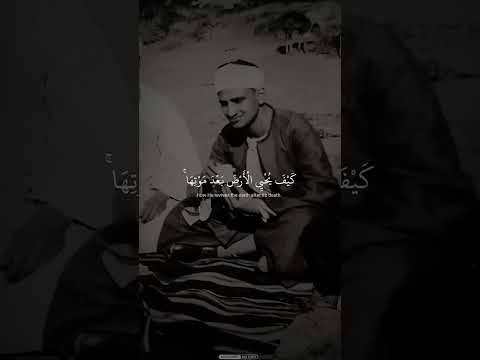 تلاوة روحانية تخشع لها القلوب بصوت الشيخ محمد صديق المنشاوي ♡ #المنشاوي  #short