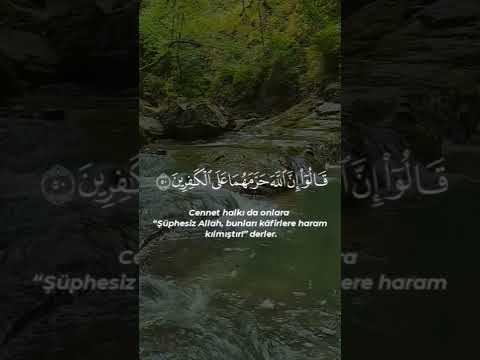 (إِنَّ اللَّهَ حَرَّمَهُمَا عَلَى الْكَافِرِينَ)- ياسر الدوسري