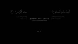 #سورة_المؤمنون #قران_كريم ☝🏻🥹✨