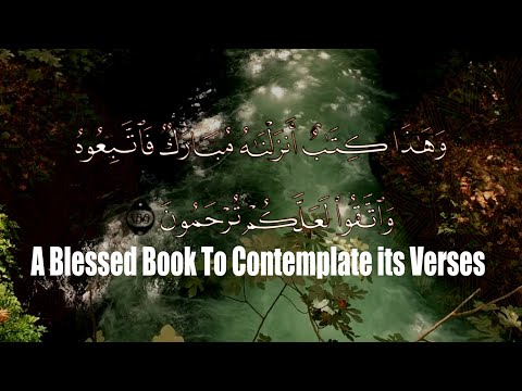 Soul Purification | Powerful QURAN to Contemplate its Verses @NoorHealing