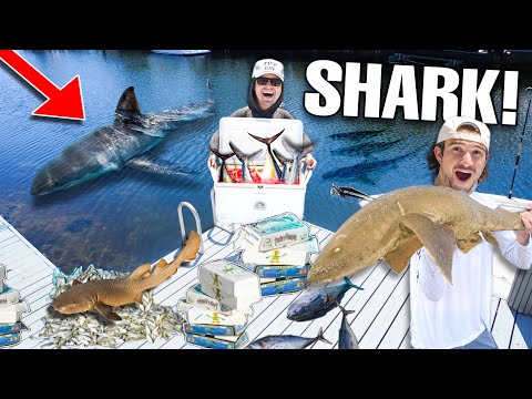 Finding TONS of SHARKS At SALTWATER DOCK Using 1000 LBS of DEAD Fish!