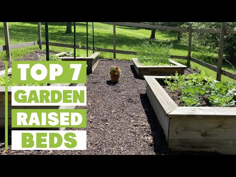 Top 7 Best Soil for Raised Garden Beds: Get Maximum Yield