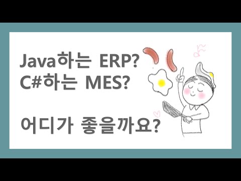 ERP와 MES 중 어떤게 커리어 쌓는데 좋을까요?