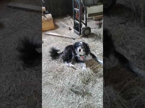 Sittin in the hay