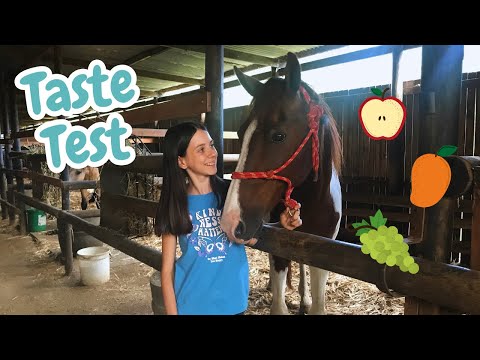 SAVANNAH TRIES 5 FRUITS! Will he eat them ALL? | Horse Taste Test