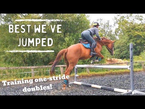 TRAINING ONE STRIDE DOUBLES| Jump Training Our Ex Race Horse