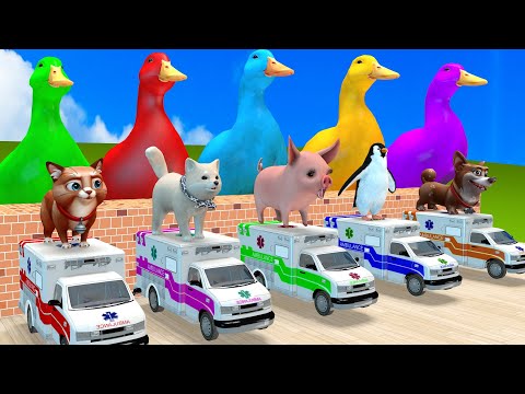 5 Giant Duck Cartoon,Cow,Elephant,Tiger,Lion,Dinosaur,Paint Wild Animals Crossing Fountain Animation