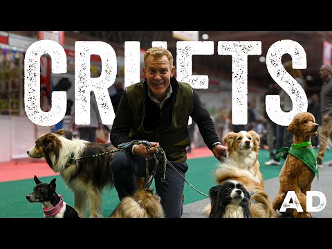 I Found the Rarest Dog Breed at Crufts!