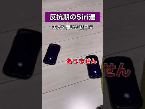 Siri同士の会話がひどすぎたww part5#shorts #siri