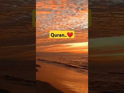 Quran Urdu translation | #translationquranandislam #motivation #qurantranslation #quranictranslation